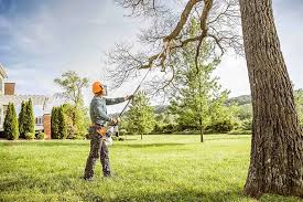 Best Lawn Disease Treatment  in Redington Shores, FL
