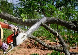 Best Lawn Watering Services  in Redington Shores, FL