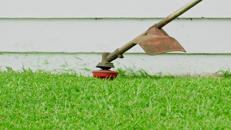 Best Storm Damage Tree Cleanup  in Redington Shores, FL